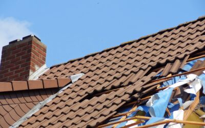 Protect Your Home: How to Spot Storm Damage on Your Roof