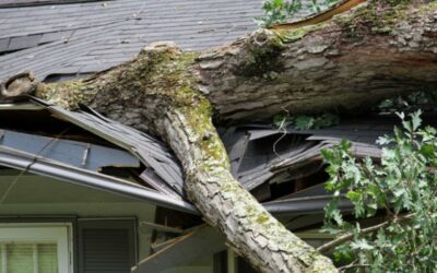 How to Prepare Your Roof for Storm Season in Katy