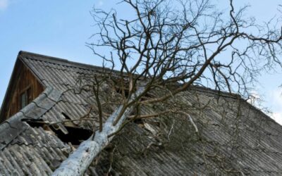 Emergency Roof Repairs: What to Do After Severe Weather